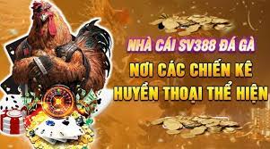Tạo tài khoản đá gà sv388 Trang web chơi đá gà uy tín và an toàn